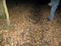 Chicago Ghost Hunters Group investigates Robinson Woods (146).JPG